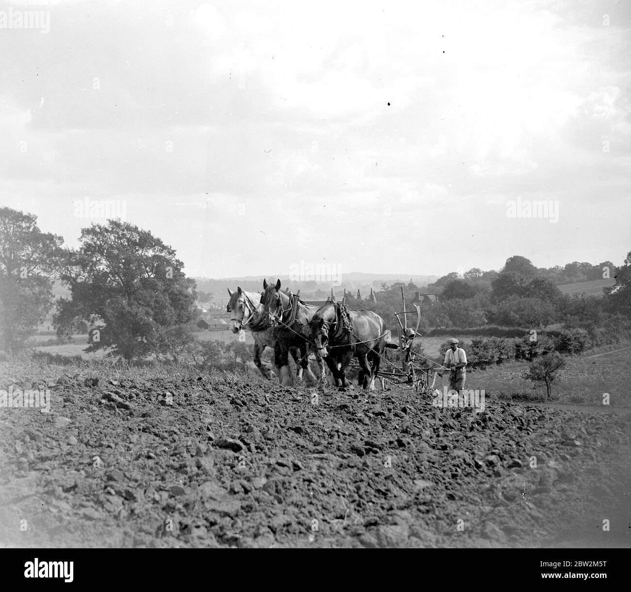 Ploughing Scene. 1934 Stock Photo