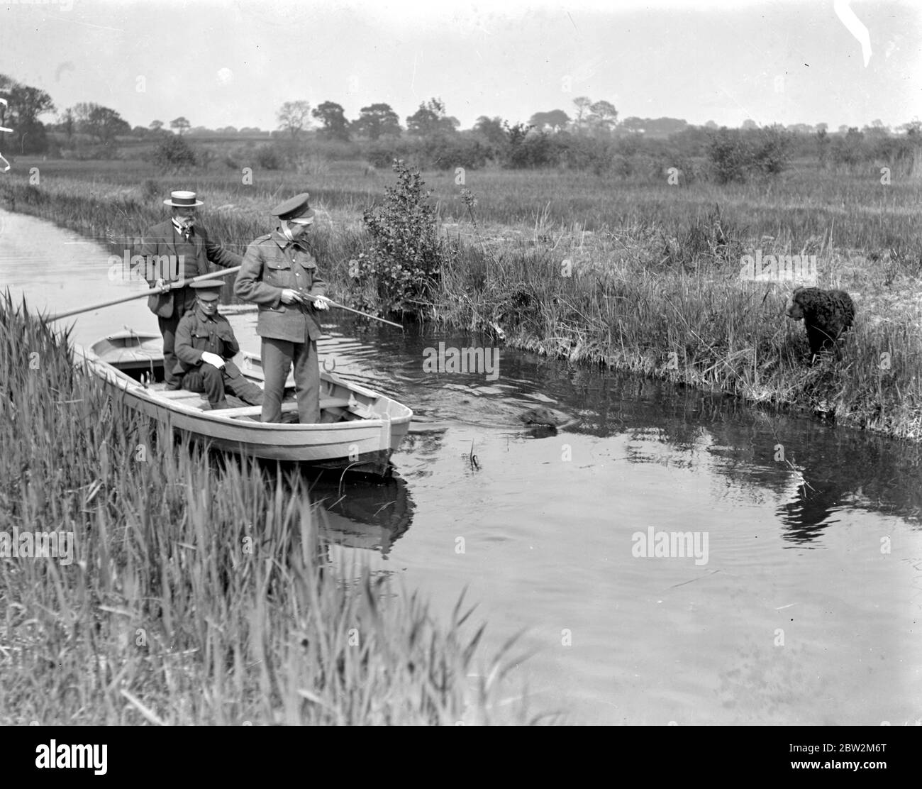 Rat shooting on Norfolk Broads. 1914-1918 Stock Photo