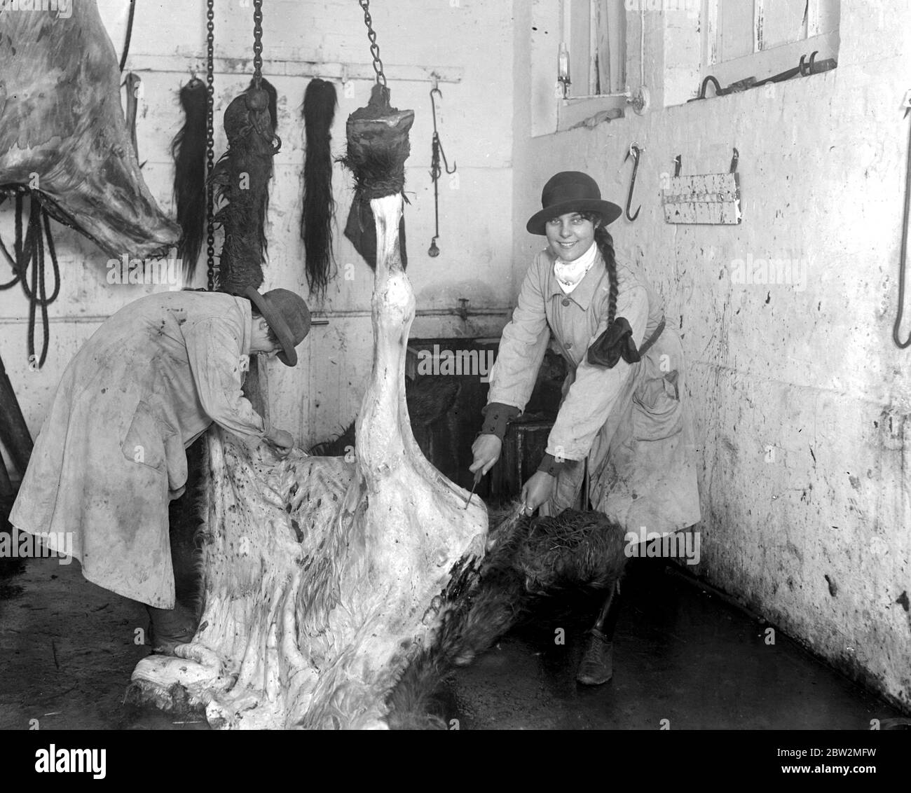 Girl Horse Meat Butchers at Chelmsford. 26 February 1918 Stock Photo
