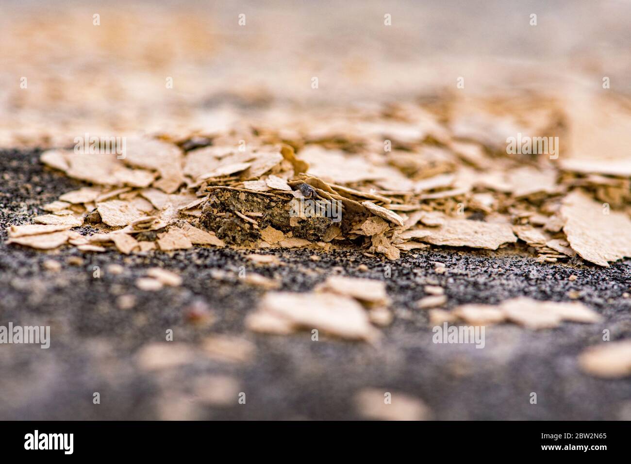 crumbling slate rock disintegrates into layers Stock Photo