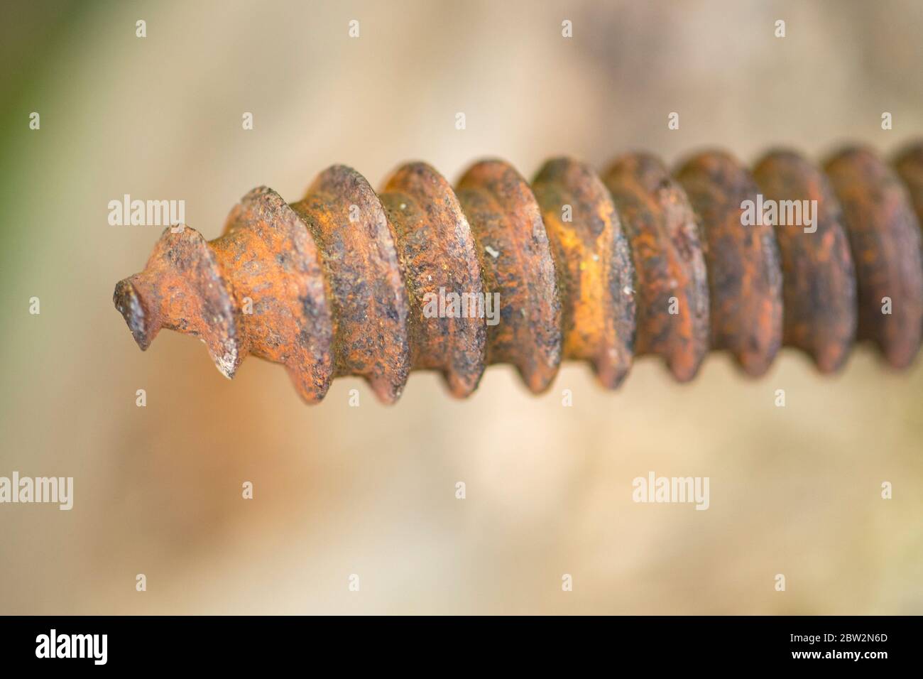 rusty old screw with blurred background Stock Photo