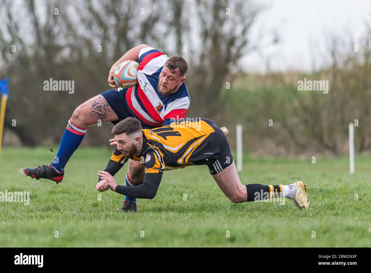 Senior player holding ball under one arm pushes off tackler who is falling to the ground. Eastern Counties rugby union match at Lowestoft Stock Photo