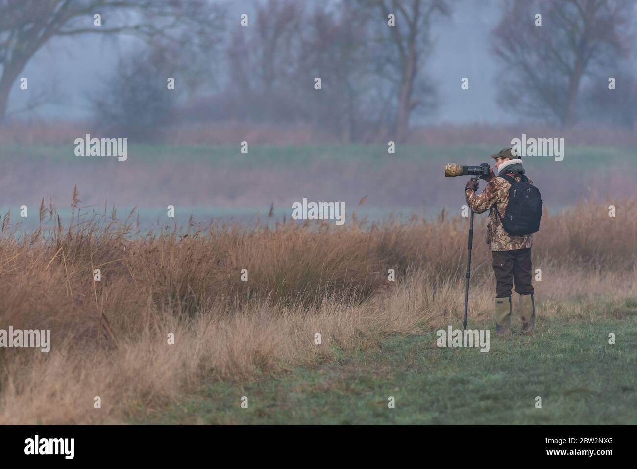 Nature photographer standing with zoom lens camera on tripod looking over marshland, wearing black backpack Stock Photo