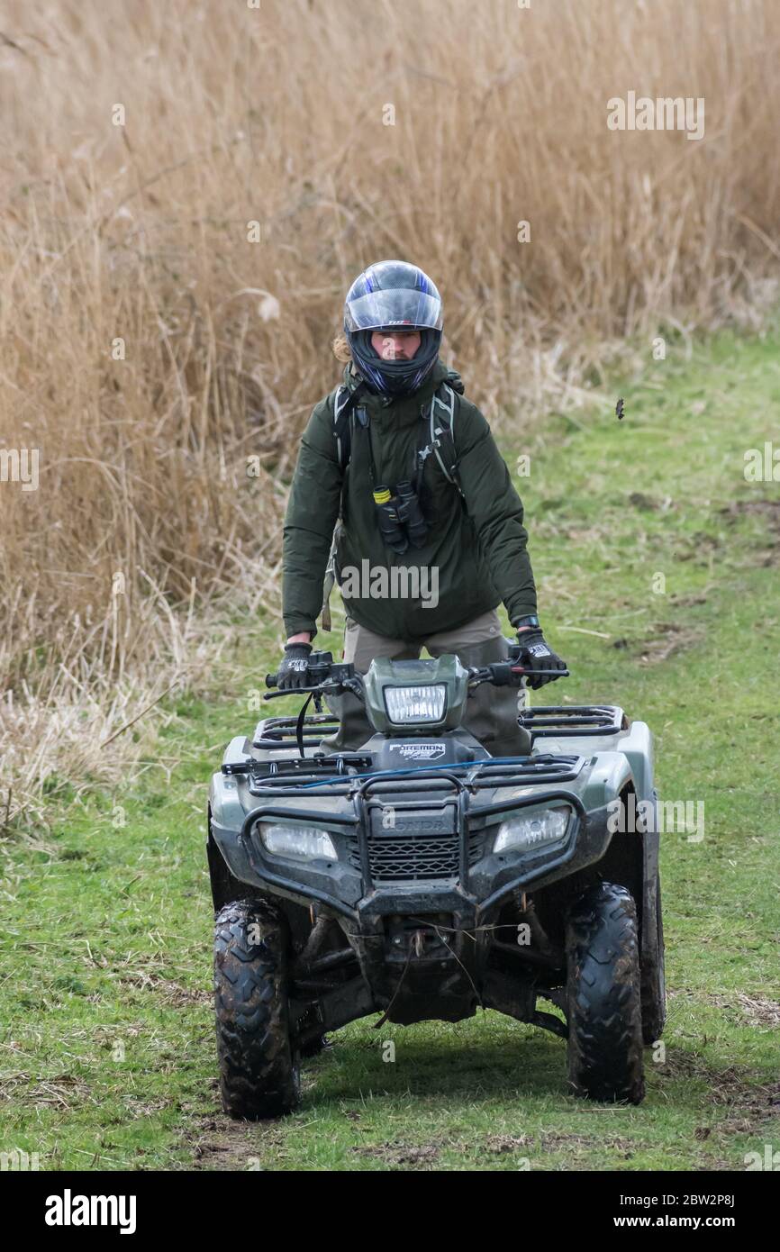 Man aged 20-30 stands up on quad bike driving towards the camera along marsh track of grass with reeds in the background Stock Photo