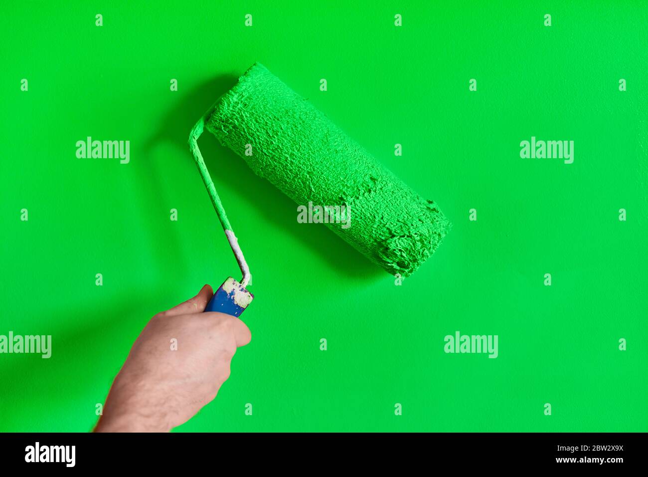 Male hand painting wall with paint roller. Painting apartment ...