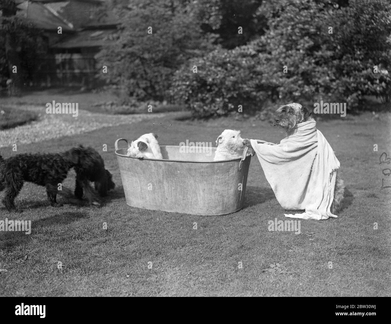 Bath in white Black and White Stock Photos & Images - Page 2 - Alamy