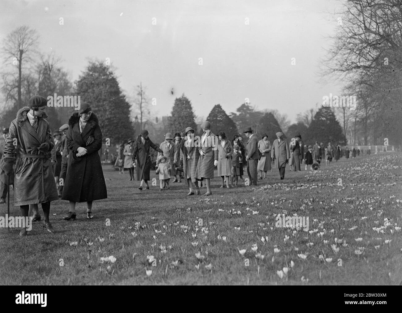 Sunday crowds admire the crocuses in Hampton Court . A large number of visitors brought out by the brilliant sunshine of the first Sunday in Spring admired the crocuses on the lawns of Hampton Court Palace . Visitors to Hampton Court Palace , admiring the crocuses . 20 March 1932 Stock Photo