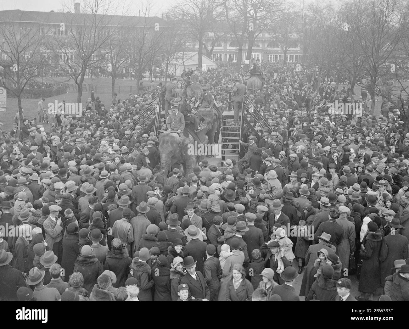 Bank holiday crowds throng the zoo . Record breaking bank holiday crowds thronged the London Zoo