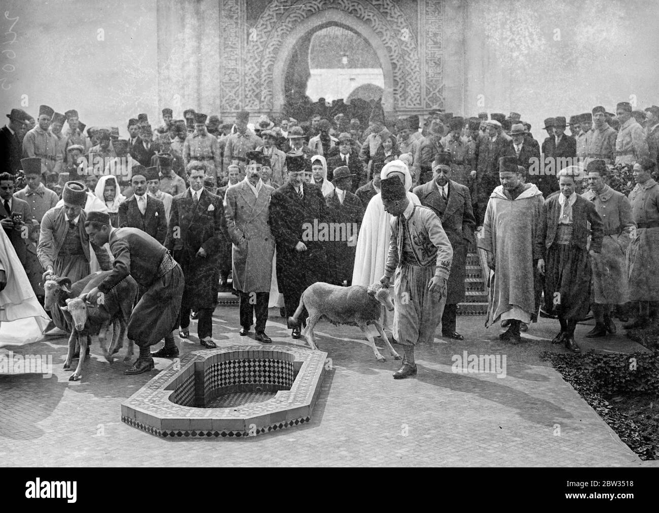 Lambs sacrificed at Muslim festival in Paris . The Muslim festival of Eid Ul Azha , was celebrated at the Paris Mosque , and lambs were offered up for sacrifice . Lambs being presented at the Paris Mosque for sacrifice at the festival . 16 April 1932 . Stock Photo