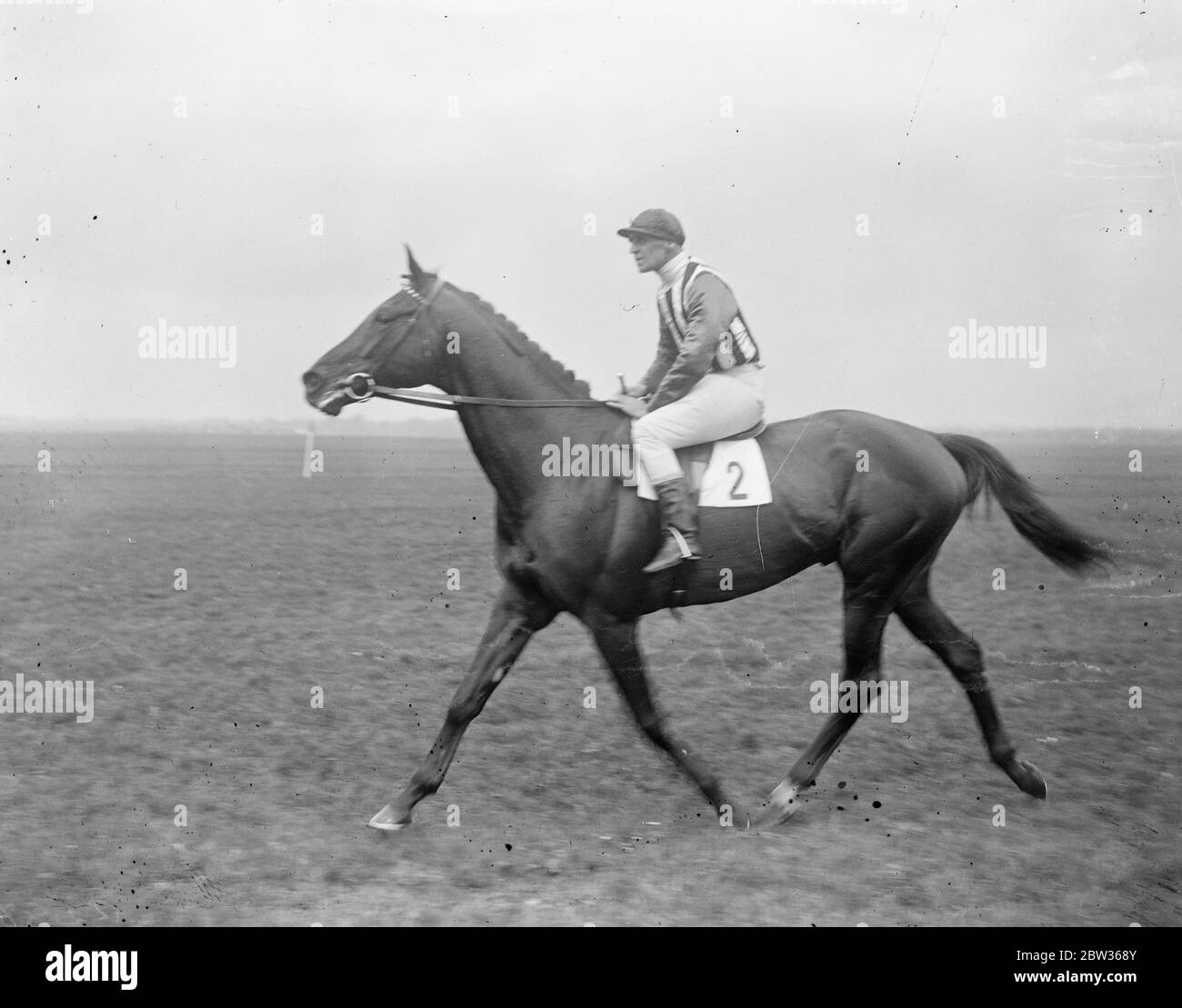 Racehorse Trimdon owned by Captain Remmington Wilson . J Childs riding. June 1933 Stock Photo