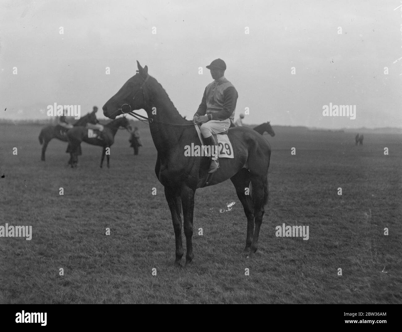 Vintage Lancers Quality Saddlery Horse Riding Saddle