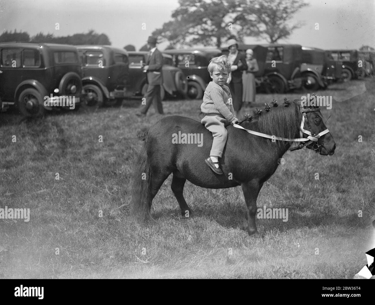 Two year old rider at Westerham Hill mounted gymkhana . The annual horse show and gymkjana in aid of the Royal Veterinary College London , took place at Westerham Hill , Kent , when there were several events for children . Photo shows , Dickie Garlant , aged two the youngest rider in the show , astride his mount . 23 August 1933 Stock Photo