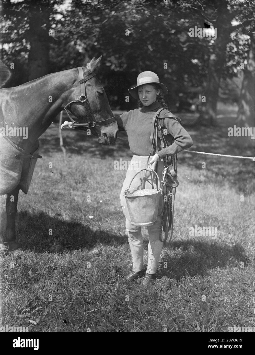 Feeding her mount at Westerham Hill mounted gymkhana . The annual horse show and gymkhana in aid of the Royal Veterinary College London , took place at Westerham Hill , Kent , when there were several events for children . Photo shows , Hermione Bezzant feeding her mount ' Sorbo ' , at the show . 23 August 1933 Stock Photo