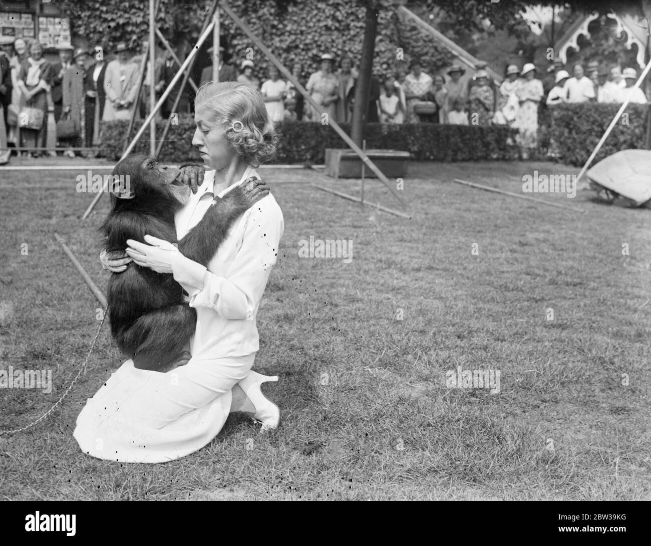 Famus Hungarian musical comedy actress in London . The beautiful Lillian Starr , famous Budapest musical comedy actress visiting the chimpanzee at London zoo . 24 July 1935 Stock Photo