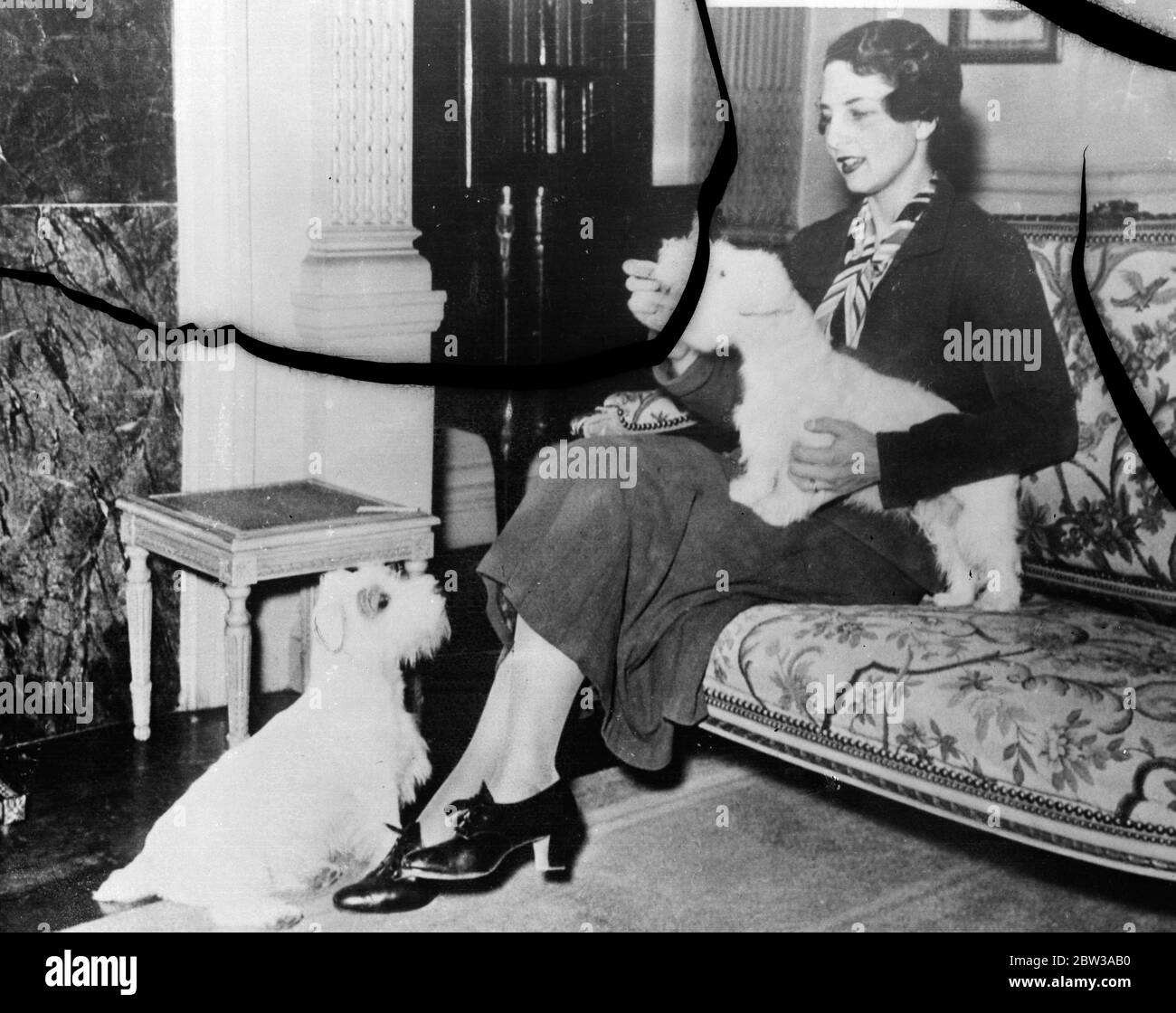 Mrs Helen Wills Moody dog fancier now . Mrs Helen Wills Moody , the tennis courts ' queen ' , who has also achieved success in art competitions , is now entering a new field of endeavour , dog shows . Photo shows , Mrs Helen Wills Moody with her two prize winning Sealyhams at her San Francisco home . 6 January 1934 Stock Photo