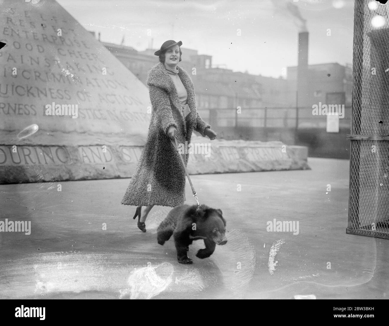 Minnie the bear going for a walk . 19 October 1934 . Stock Photo