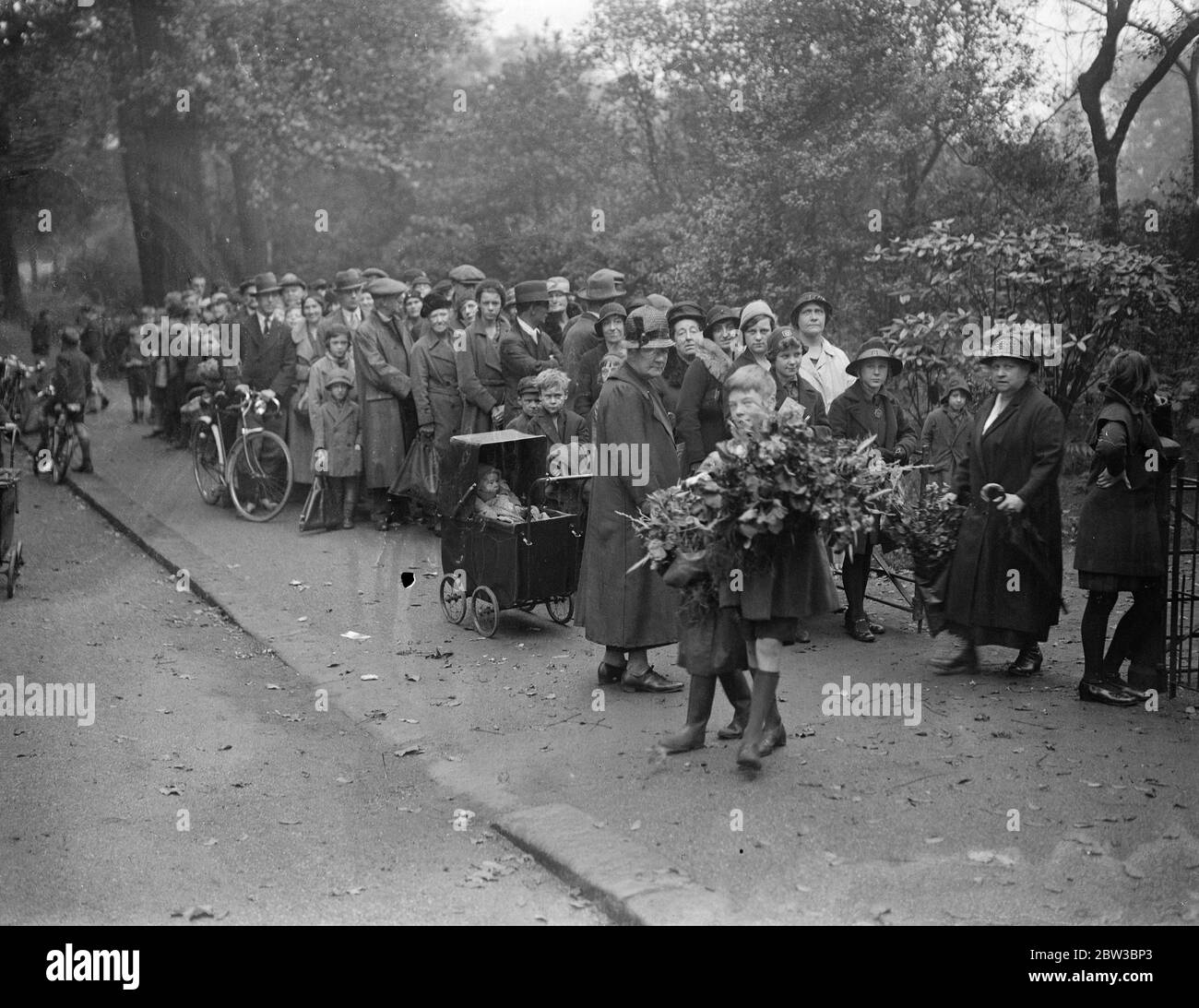 Plants distributed in L C C parks . 20 October 1934 Stock Photo