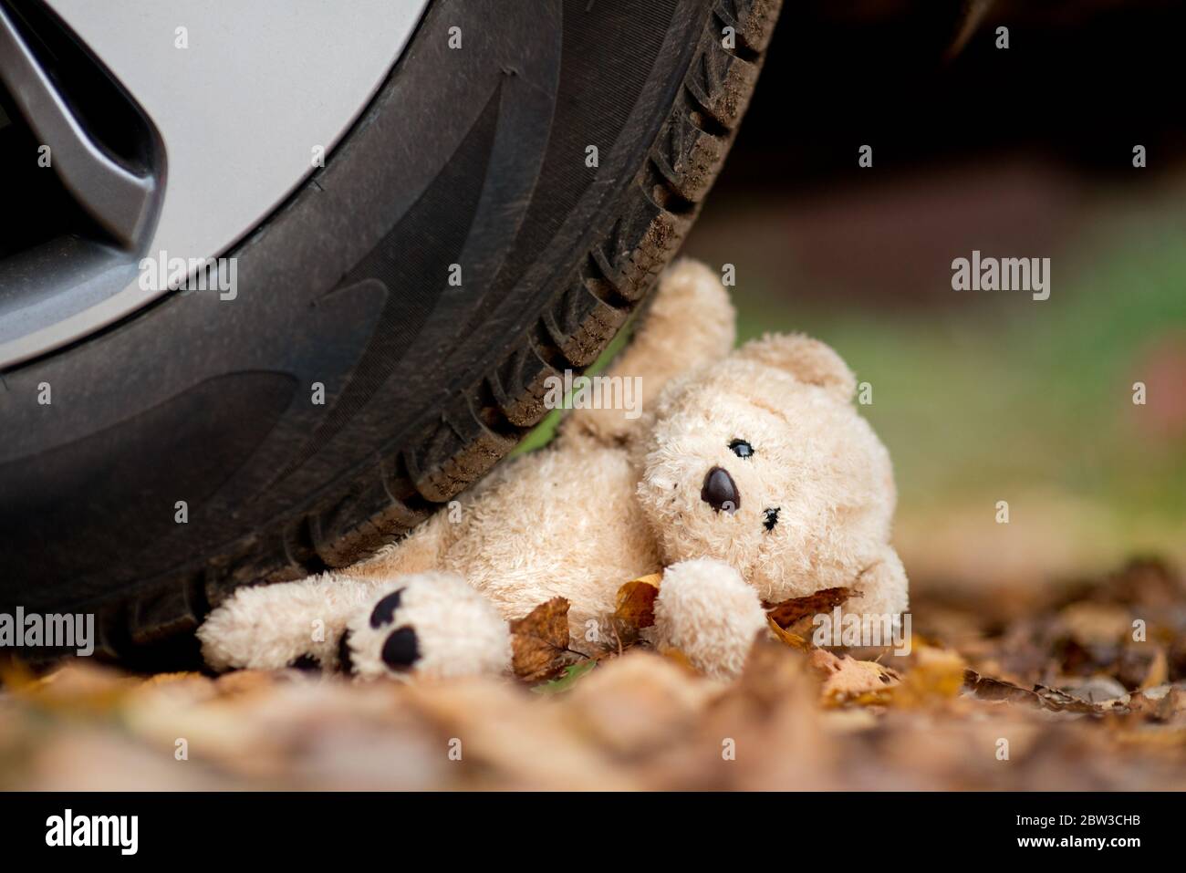 A teddy bear under the wheel of a car Stock Photo