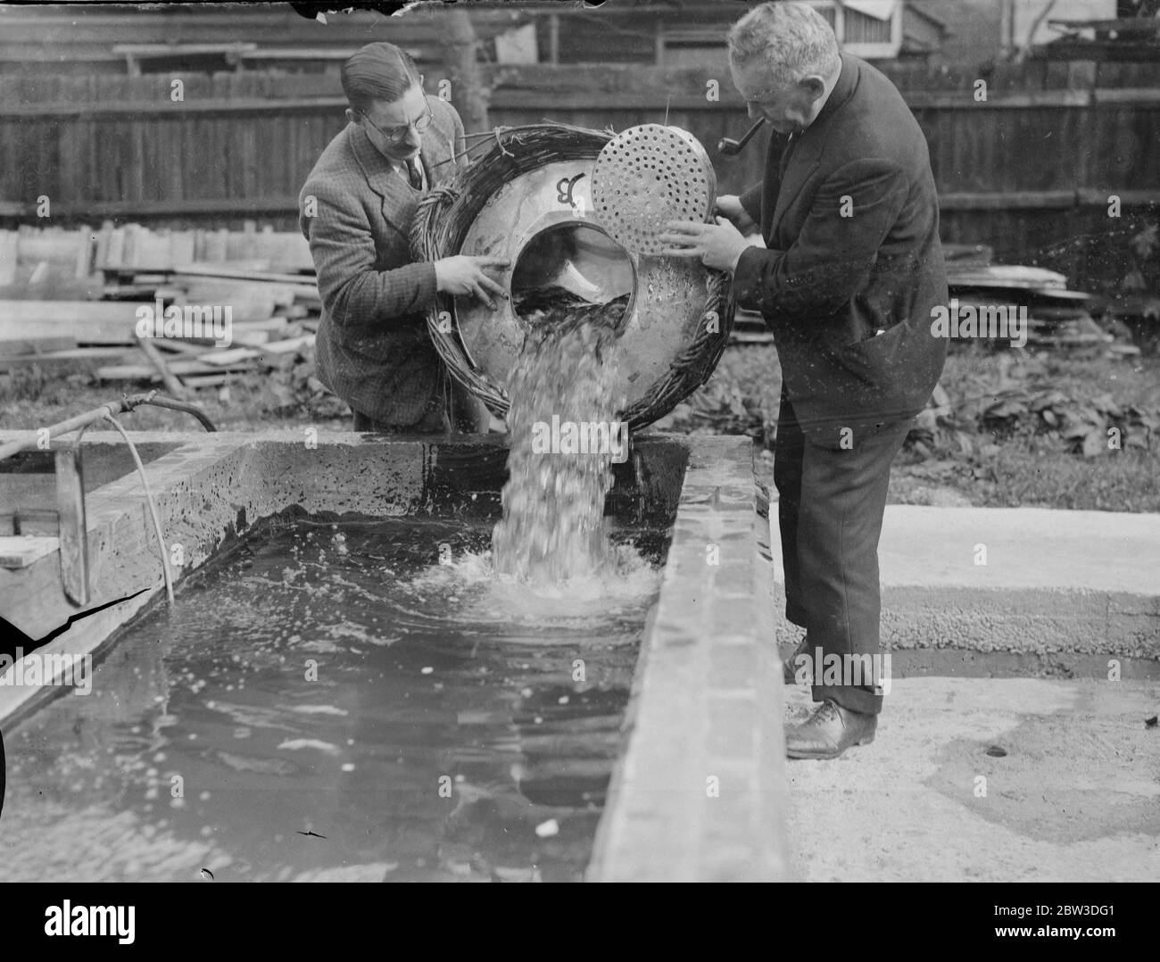 Keeping England on the goldfish standard . Thousands imported from Italy before sanctions . Unloading part of the days huge consignment of goldfish at an Alperton fisheries . 18 October 1935 Stock Photo