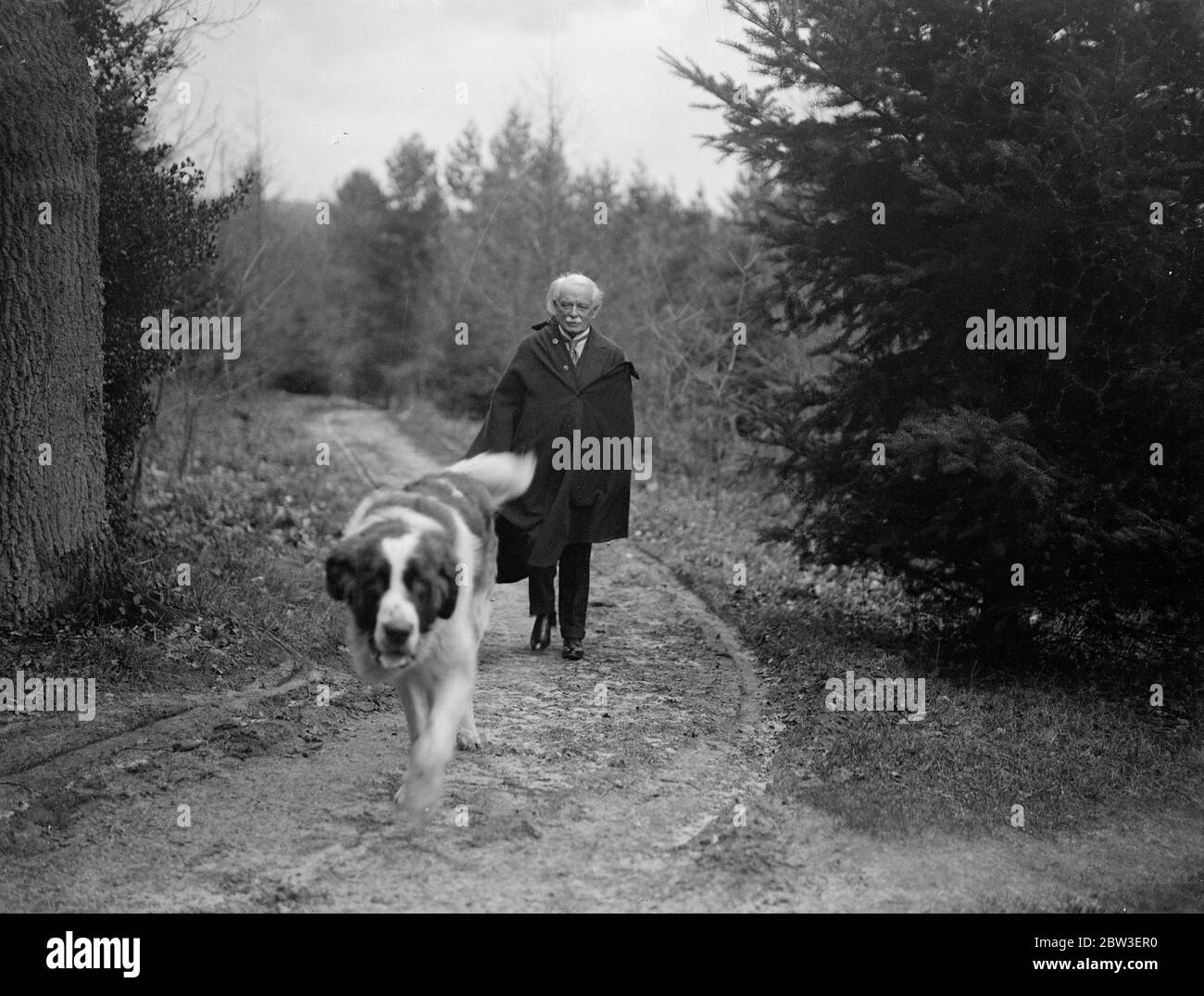Mr David Lloyd George walking his St Bernard dog at Churt , Surrey , on his 72nd birthday . 17 January 1935 Stock Photo