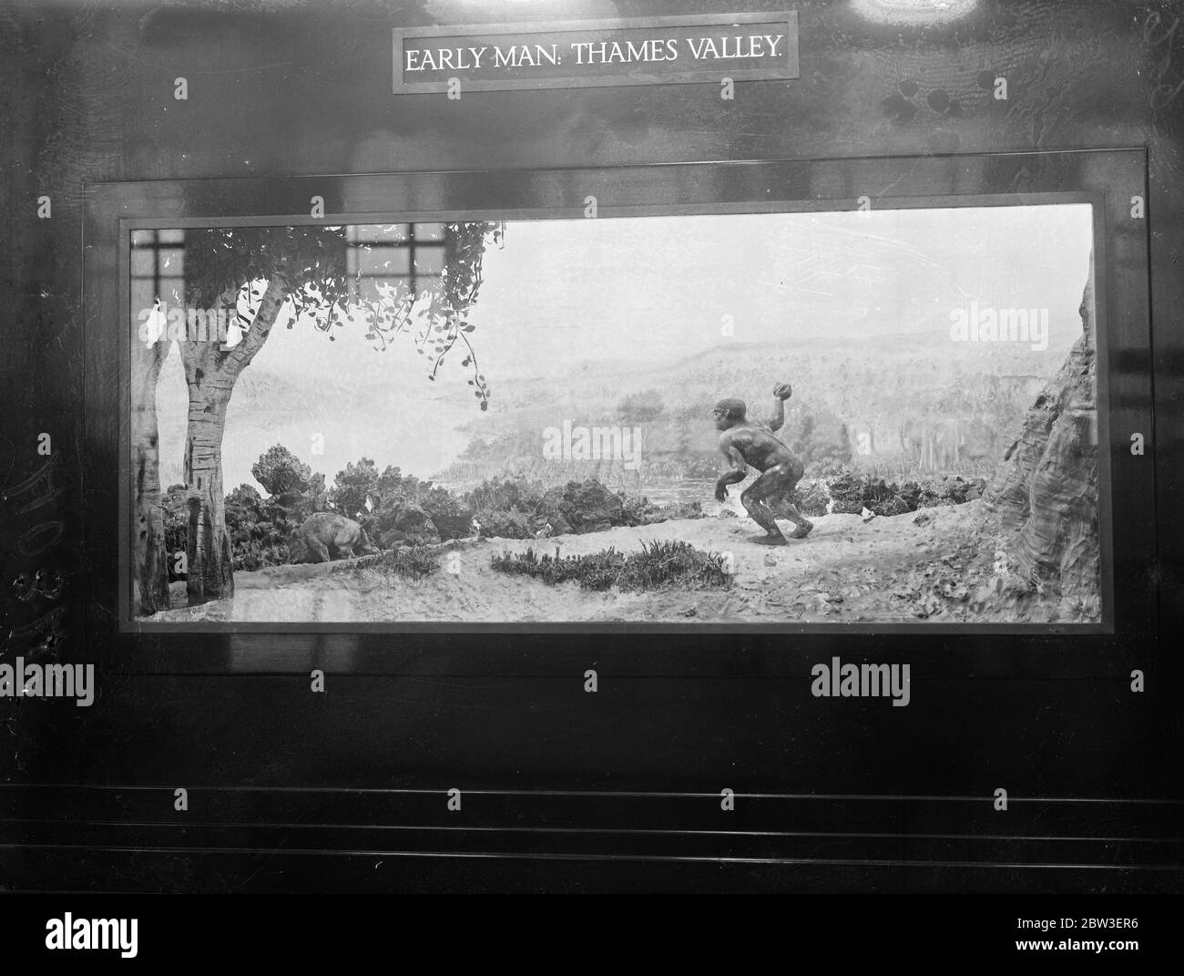 Display at the Geological Survey and Museum ( Geological Museum ) , South Kensington . Display of the first man in the Thames Valley hunting wild bear . 15 January 1935 Stock Photo