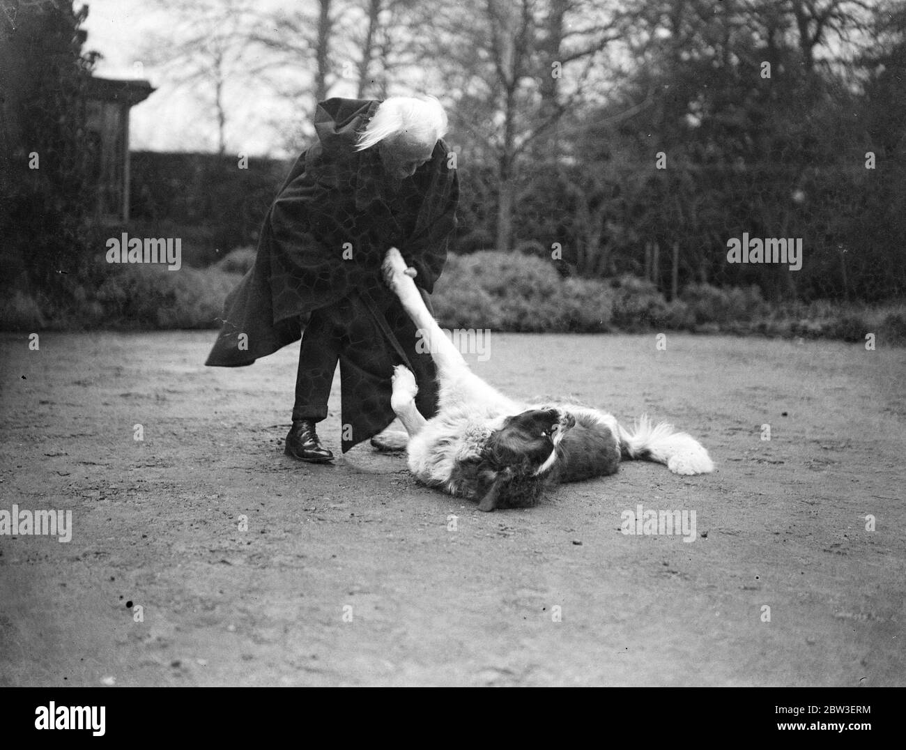 Mr Lloyd George playing with one of his St Bernard dogs at Churt , Surrey , on his 72nd birthday . 17 January 1935 Stock Photo