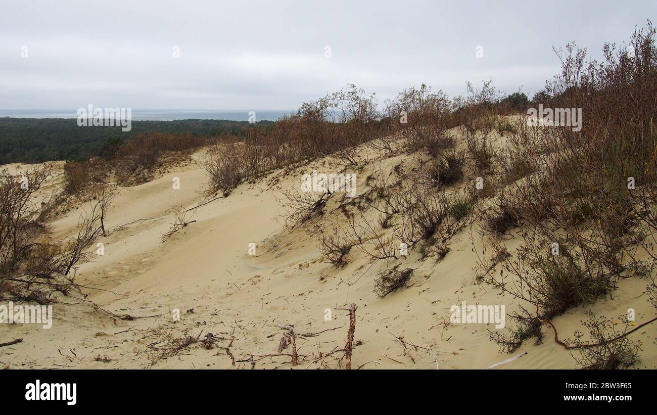 Curonian Spit sand dunes in Nida, Lithuania Stock Photo