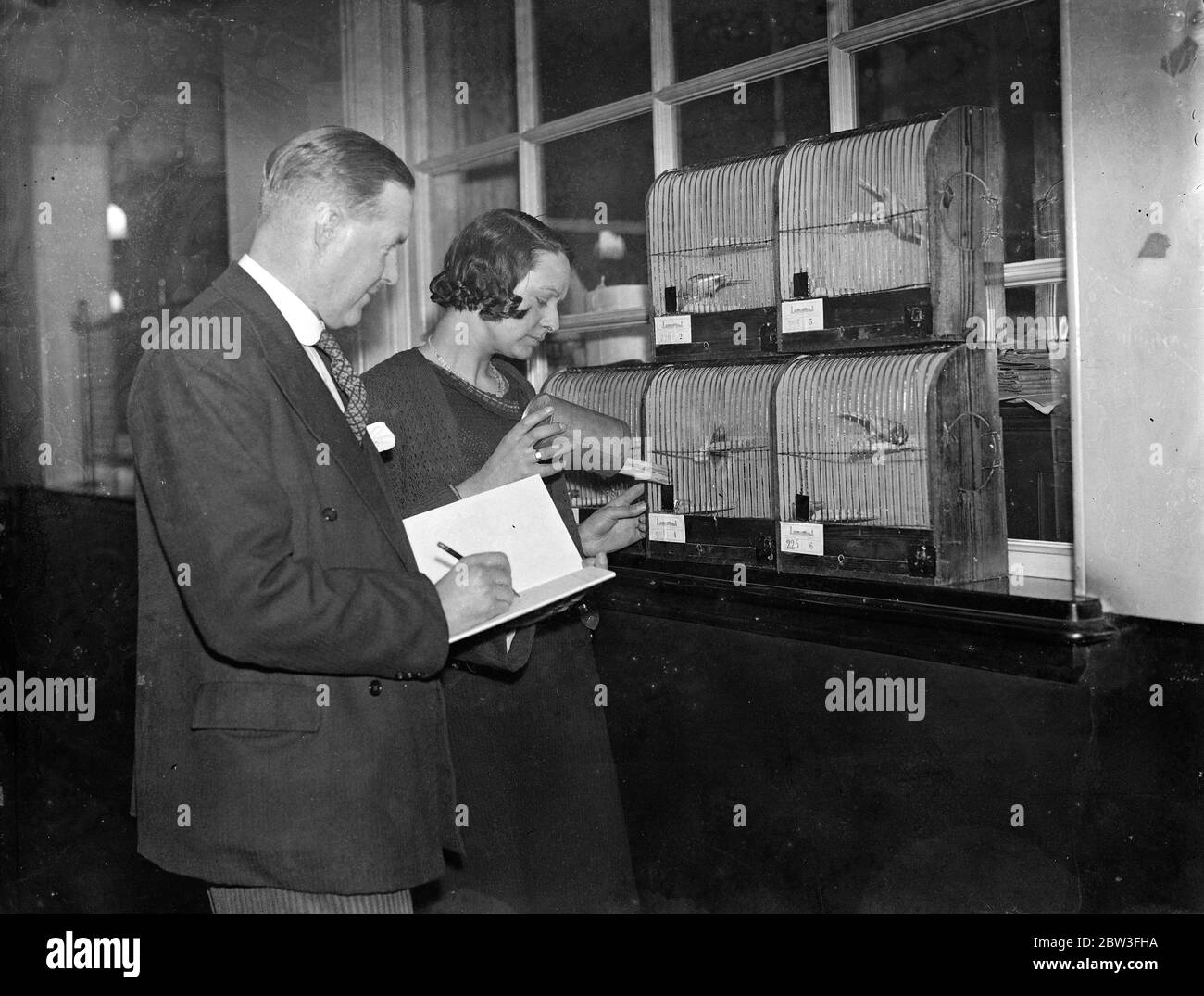 Valuable Dutch canaries arrive for Crystal Palace show . Crystal Palace will be a land of song when 5 , 000 entries in the National Show of Cage Birds are gathered together for exhibition at the Crystal Palace on Thursday January 31 . Twenty specimens of a species of canary never before shown at the exhibition are entered from Holland and the Foreign Bird section of the show is said to be the first ever staged . Photo shows ; Canaries from Holland being checked in and fed on arrival at Crystal Palace for the show . 29 January 1935 Stock Photo