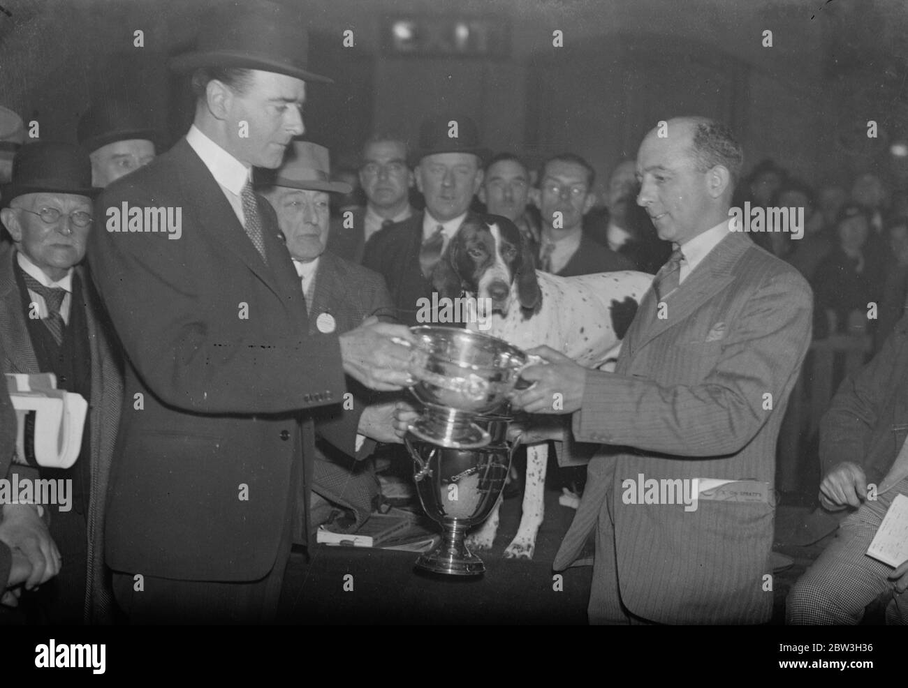 Champion of Cruft 's Dog Show . Mr Nigel Coleman , MP ( left ) President of Cruft 's presenting the cups to Mr A Eggleston , owner of Pennine Prima Donna , the pointer , champion dog of the show . Pennine Prima Donna is centre . 7 February 1935 Stock Photo