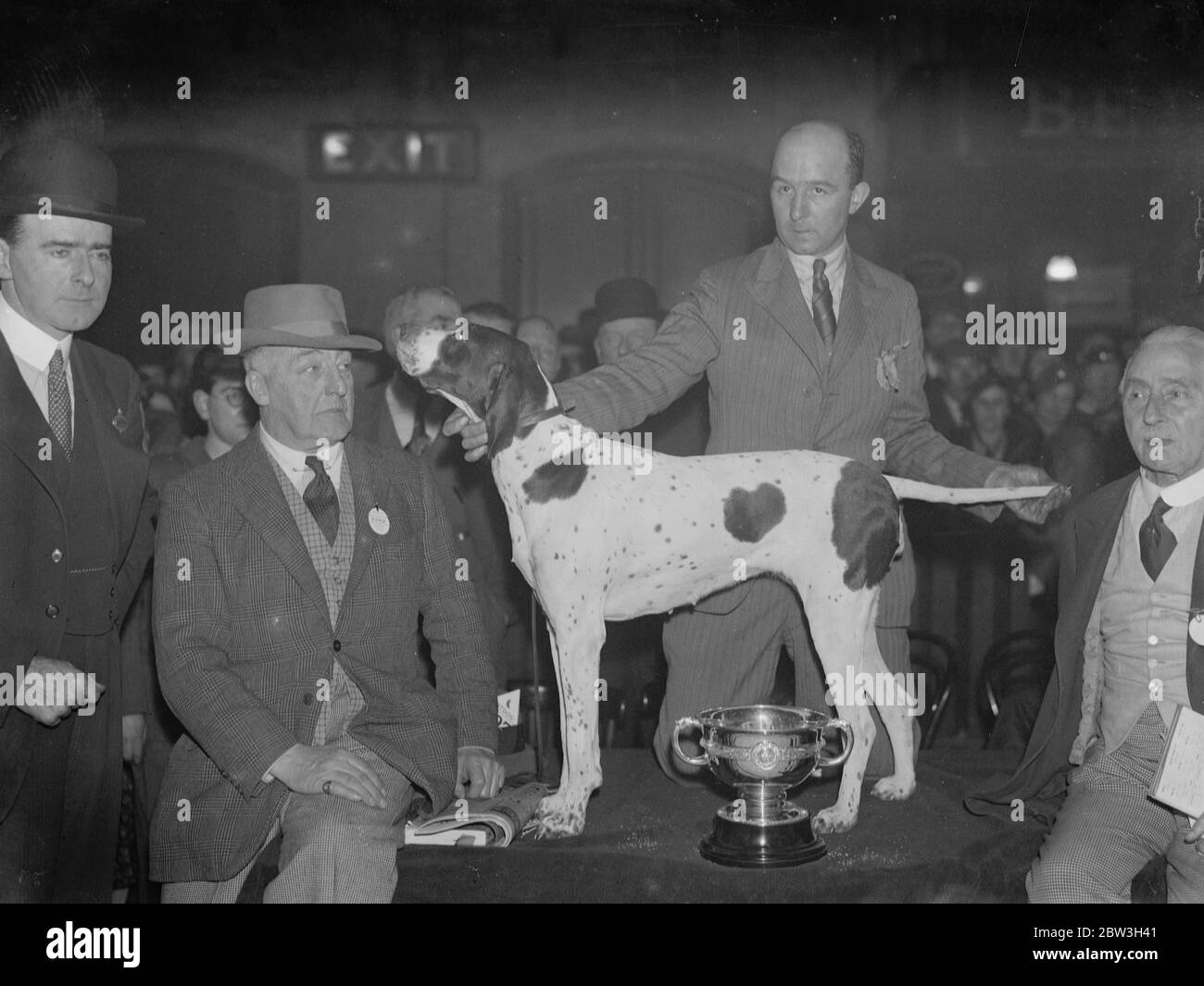 Champion of Cruft 's Dog Show . Pennine Prima Donna , champion of Cruft 's Show with Mr A Eggleston , the owner , behind . 7 February 1935 Stock Photo