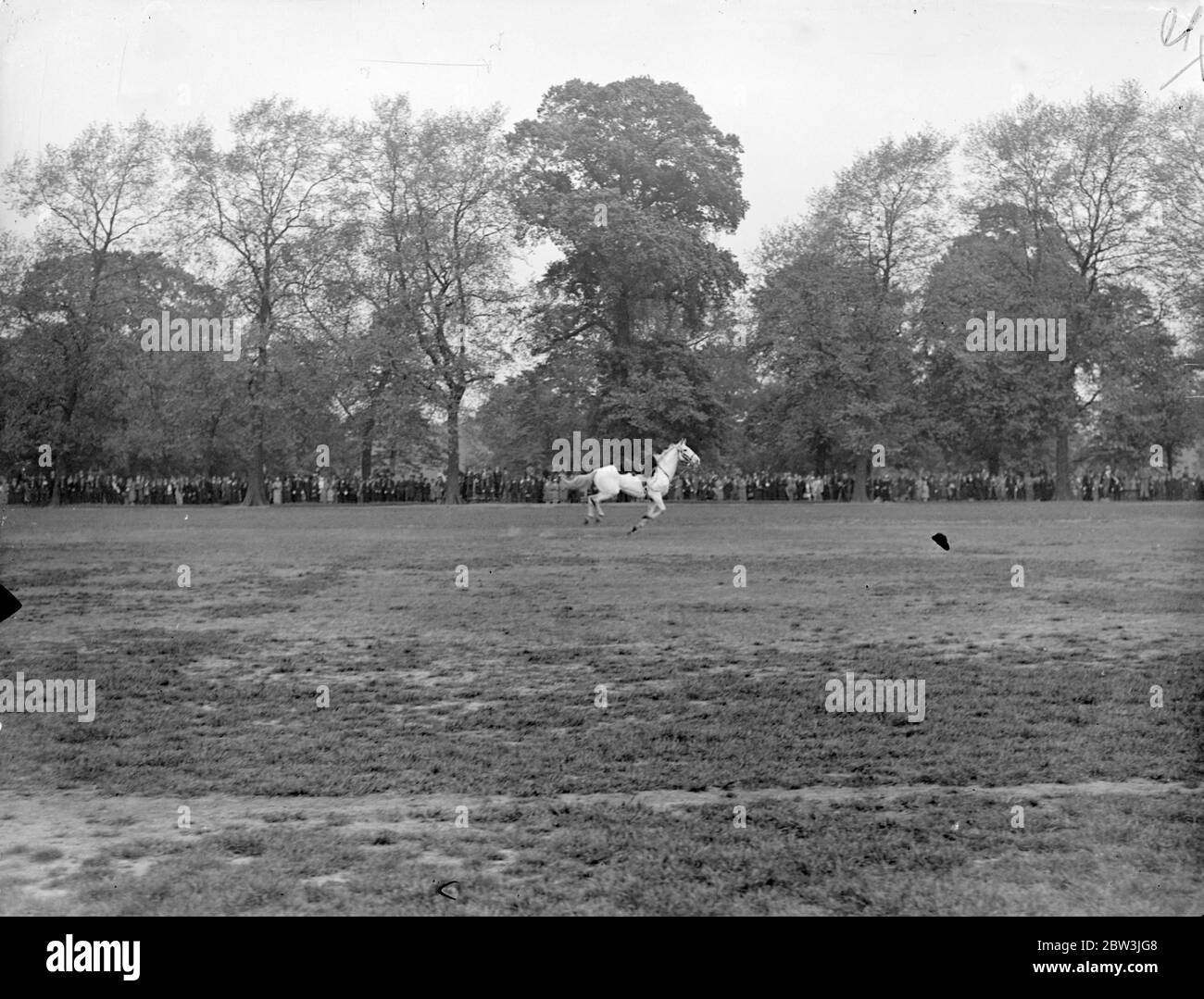 King Sees Horse Bolt After Throwing Rider at Royal Horse Guards Inspection King Edward , as Colonel - in - Chief carried out an inspection of the Royal Horse Guards in Hyde Park . The King was accompanied by Lord Forester , Lieutenant - colonel of the Regiment . Photo shows : The horse bolting across the parade ground after throwing a bandsman. 15 May 1936 Stock Photo
