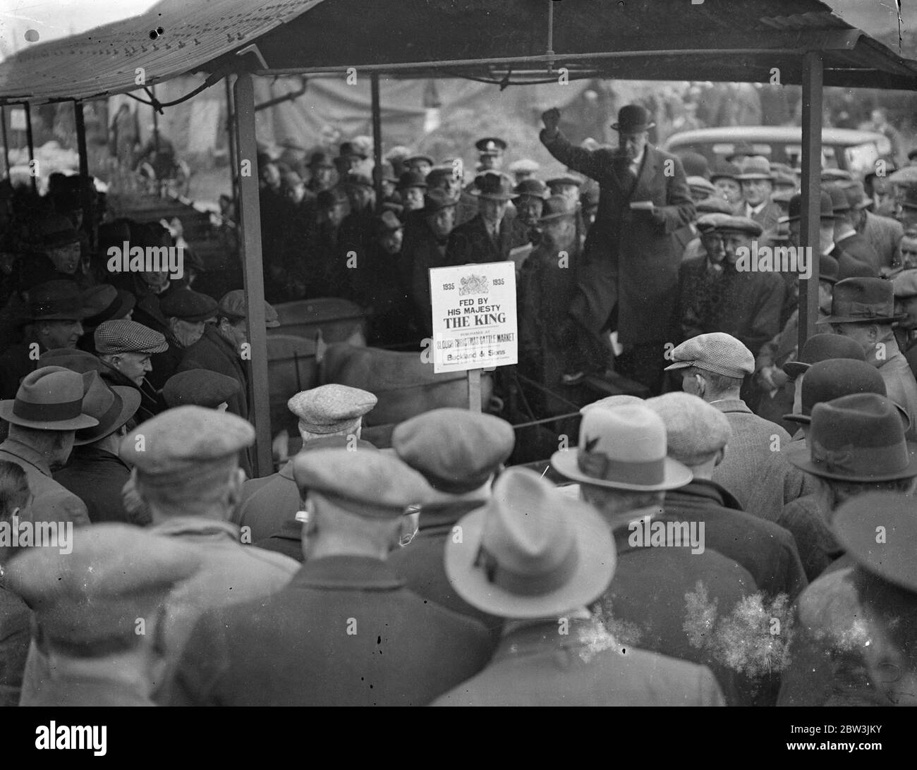 King ' s livestock auctioned at Slough christmas show . Pet stock from the Royal farms at Windsor were offfered for sale , by command of the King , at Slough Christmas Cattle show , when 30 fat cattle , 60 sheep and 50 pigs were sold by auction . There is always keen competition for the King ' s stock . Photo shows , auctioning the King ' s pigs . 10 December 1935 Stock Photo