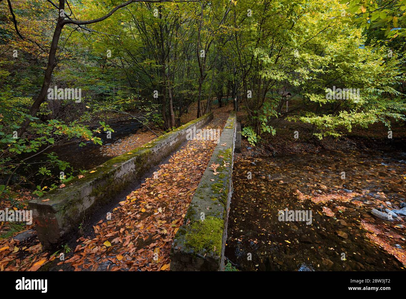 Beautiful daily landscape. Stara reka Reserve in the autumn, Stara ...