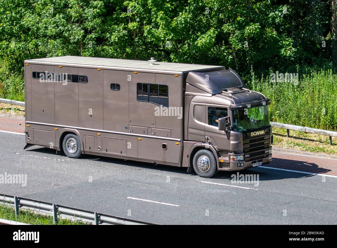 Brown horsebox van; Equine Animal transport travelling on the M6