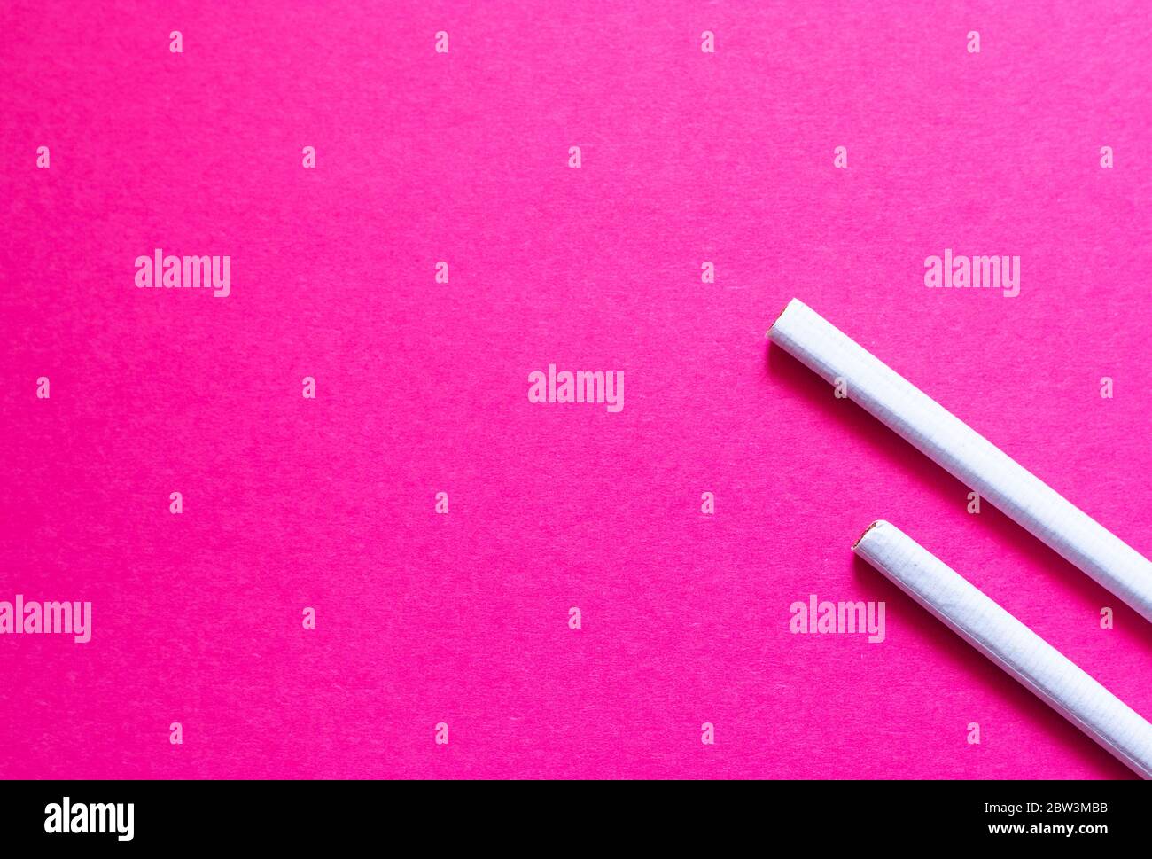 Two cigarettes flat on a pink background. Concept of female smoking, smoking in young girls Stock Photo