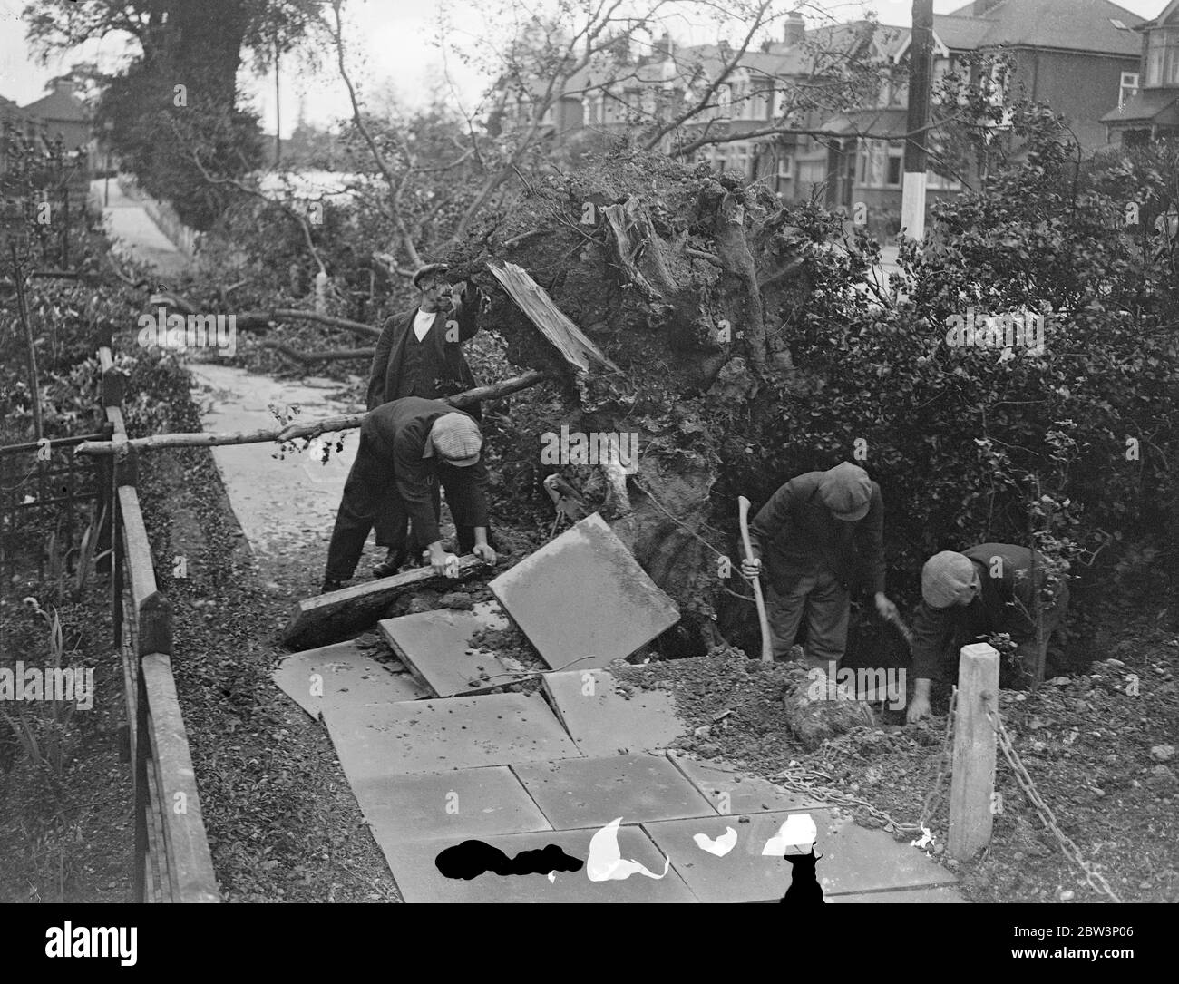 Gale blows down giant tree . Telegraph wires tore down . Removing the up rooted tree in Winchmore Hill Road . 17 September 1935 Stock Photo