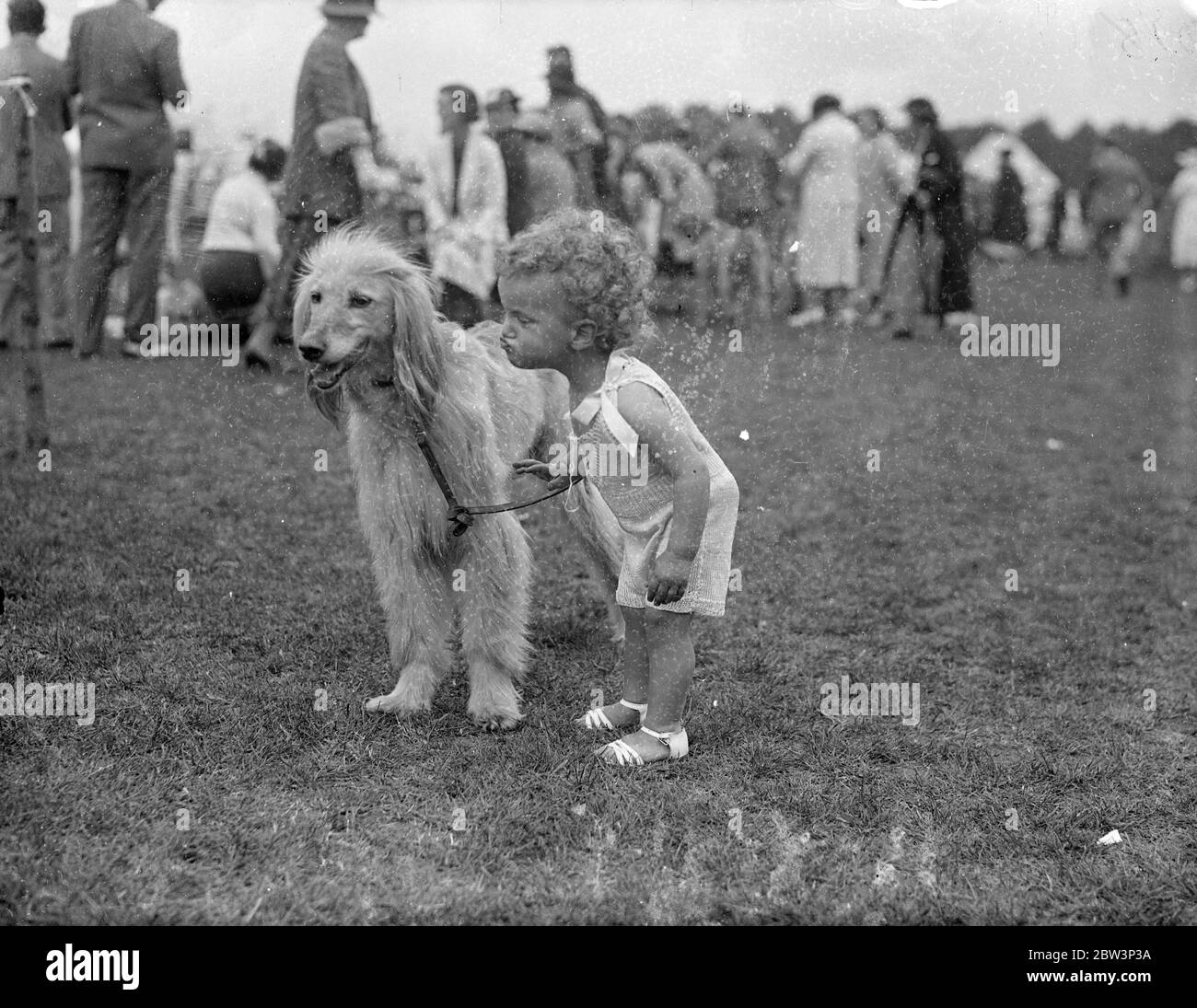 So You Couldn't Take A Prize ! Dogs , from the stately mastiff to the perky terrier , competed for the title of champion at the Championship Show held under the auspices of Richmond Dog Show Society at the Athletic Ground , Richmond , Surrey . Photo shows : Lips pursed and jaw jutting pugnaciously , little Keith Berney expressed acute displasure with his unheeding Afgan Hound , who seems to regard the matter as a joke ! 7 Jul 1936 Stock Photo