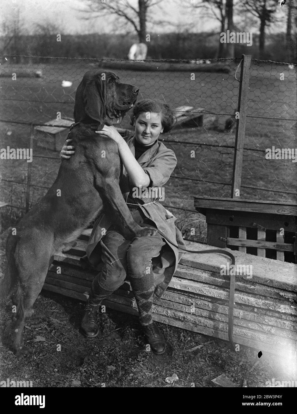 Thousand guineas hires stock photography and images Alamy