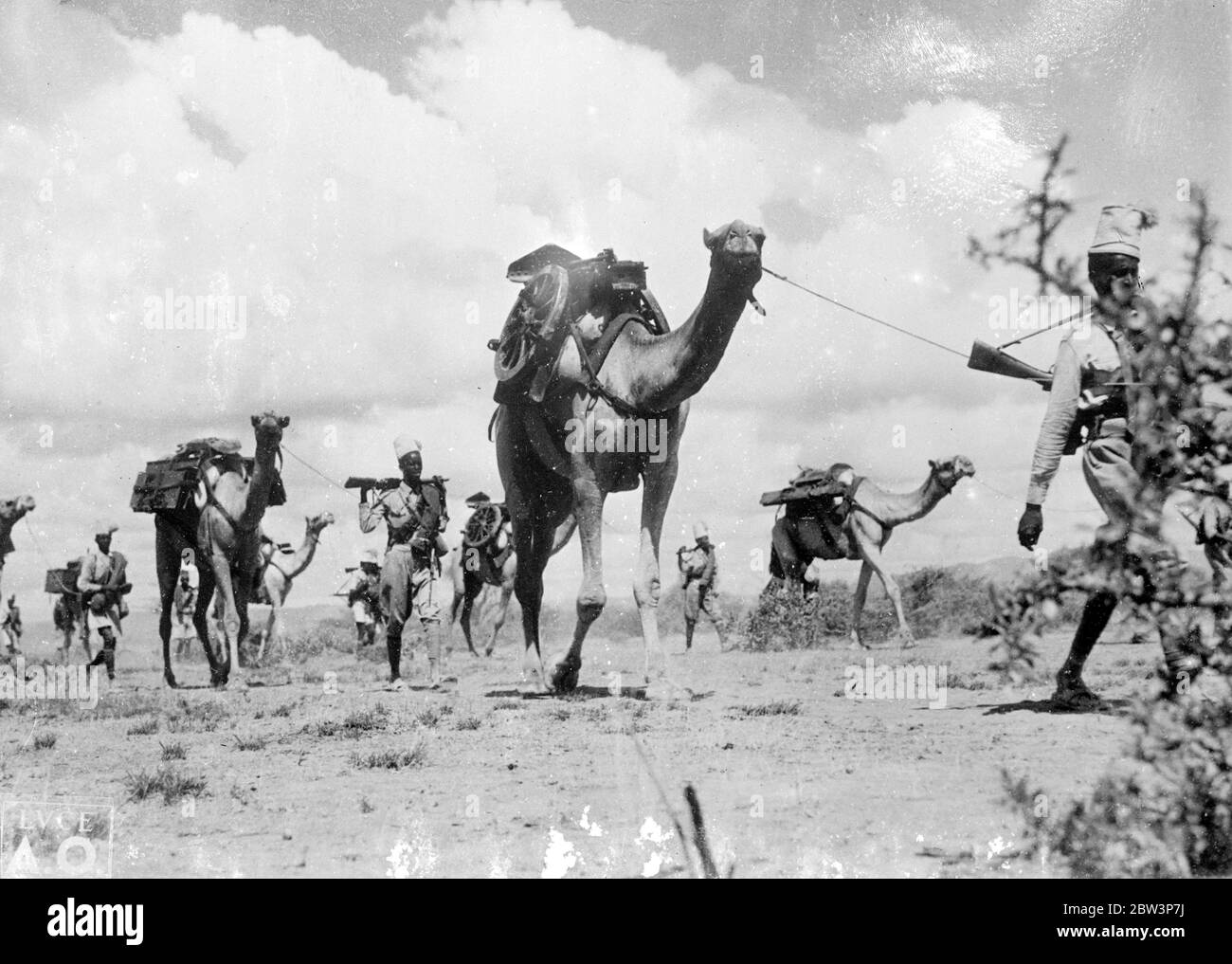 As Italians approached Addis Ababa . Road builders carve highway for troops . These pictures , just received in London , show the Italians completing their advance to Addis Ababa , Abyssinian capital . Led by Marshal Badoglio himself , the Italian forces entered the city to find it in the hands of murderers and looters . Photo shows , camels led by native troops taking Italian guns towards Addis Ababa . 8 May 1936 Stock Photo