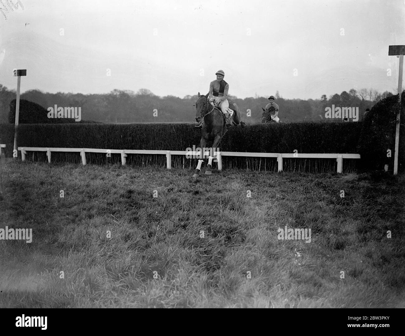 Seven over together at Lingfield . Bon Cheval wins . Bon Cheval won ' The Gone Away Open Hunters Chase Cup when the United Hunts Steeplechases were run at Lingfield . the White King was second and Golden Ore third . Photo shows , Bon Cheval taking last jump to win the ' Open Hunters Chase Cup ' . 11 May 1936 Stock Photo