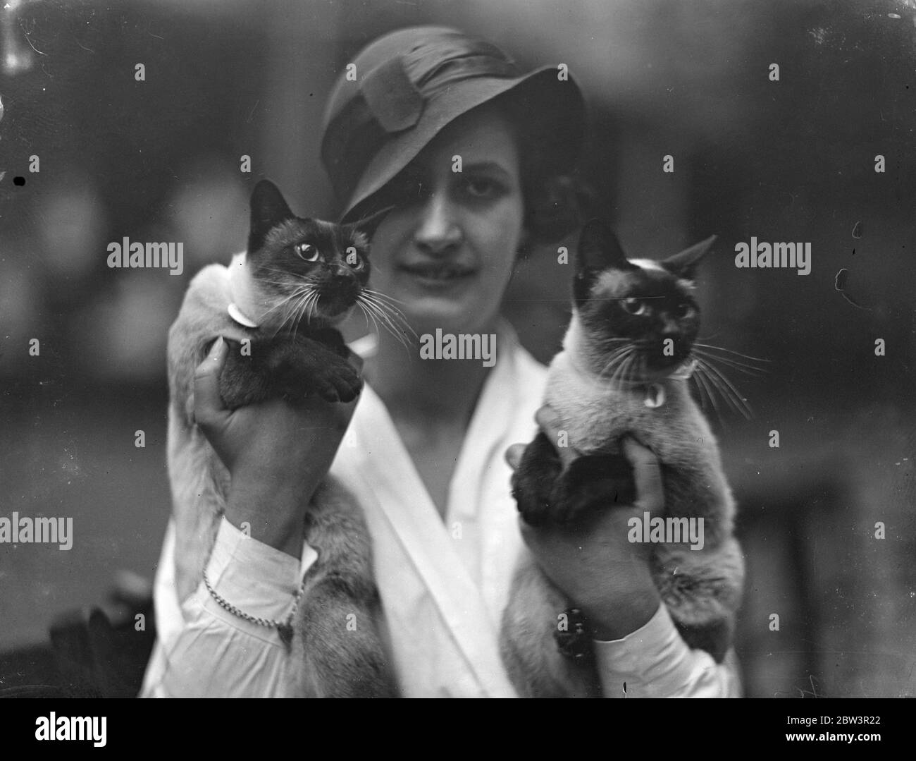 Siamese cats at National show . The National Cat Show is in progress at Crystal Palace . Photo shows , Miss Phyllis Thame with Yum Hi ( left ) and Masu , two Siamese cats . Yum Li was champion st last year ' s show . 4 December 1935 Stock Photo