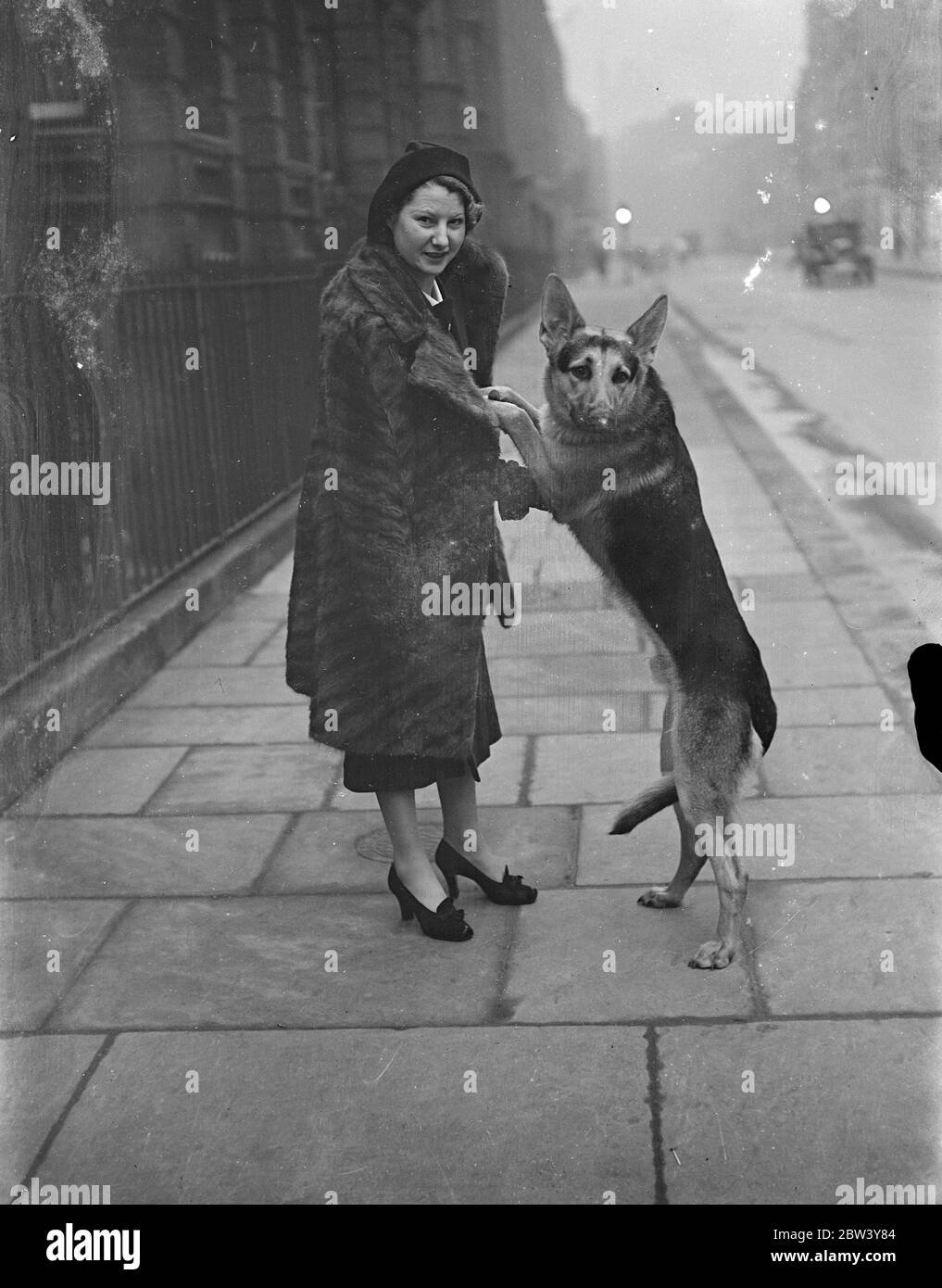 Woman exhibitor at Alsatian Show in London. The Southern Alsatian Club held a Members Sanction Show at the Drill Hall, Handel Street, Bloomsbury. Photo shows: Mrs L Monitz with her Alsatian Larran of Crabthorne. 6 March 1937 Stock Photo