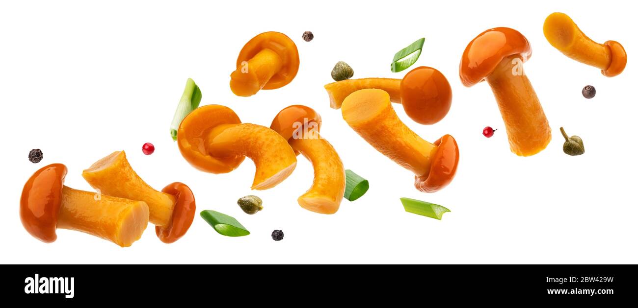 Pickled honey mushrooms isolated on white background Stock Photo - Alamy