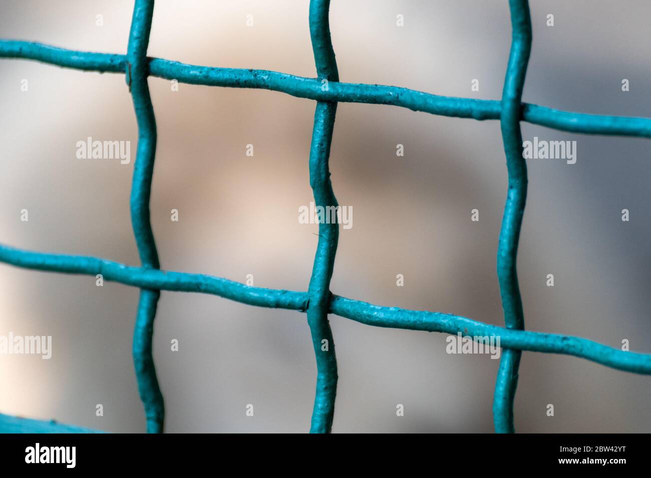 Green metal zoo cage cells close-up. Blurred background Stock Photo