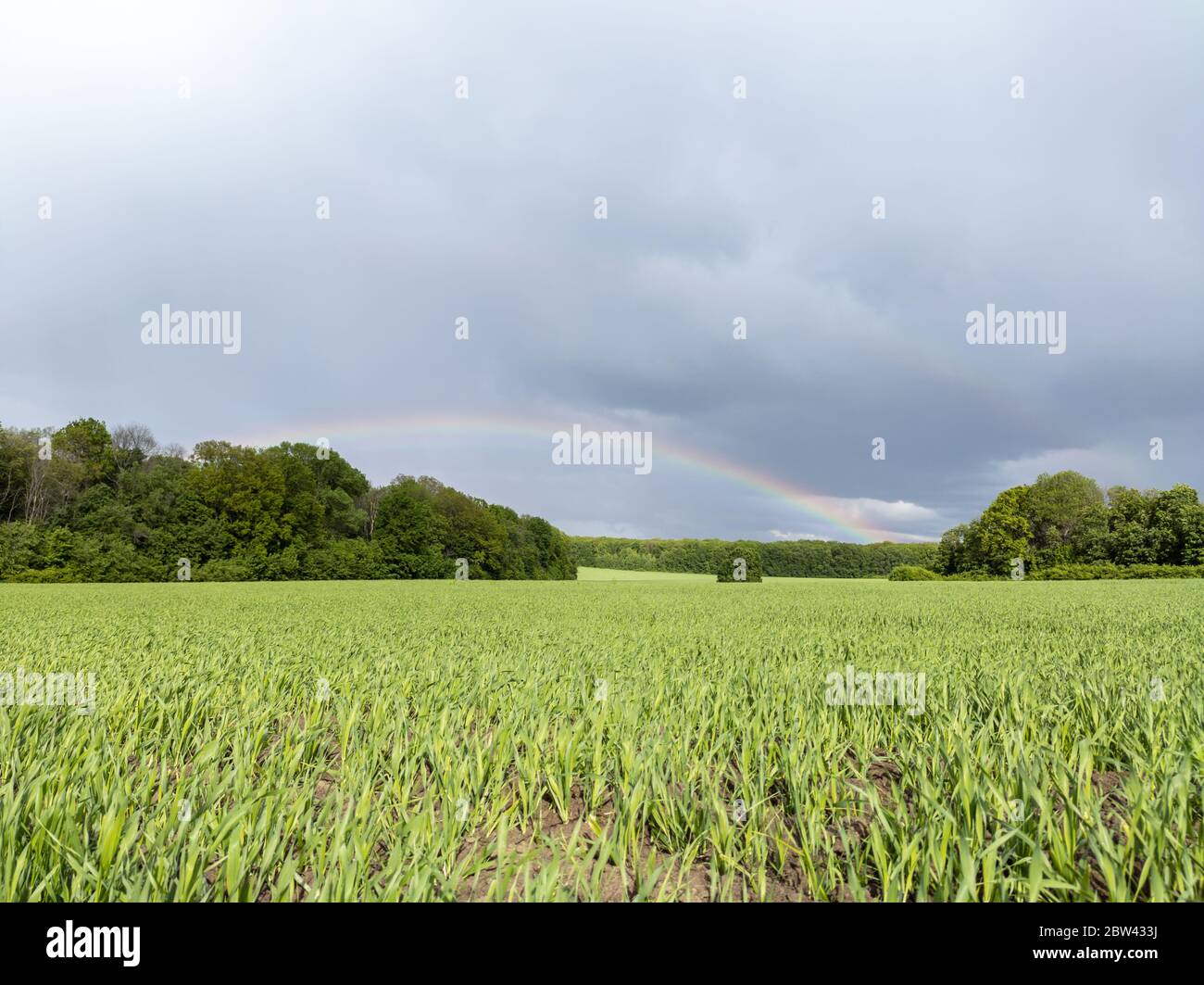 Wind farm dramatic epic hi-res stock photography and images - Alamy