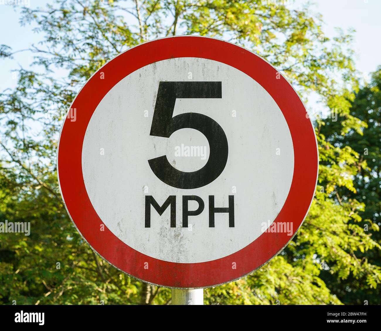 Close Up Of Isolated 5 MPH Speed Limit Road Sign Outdoors In Sunshine 