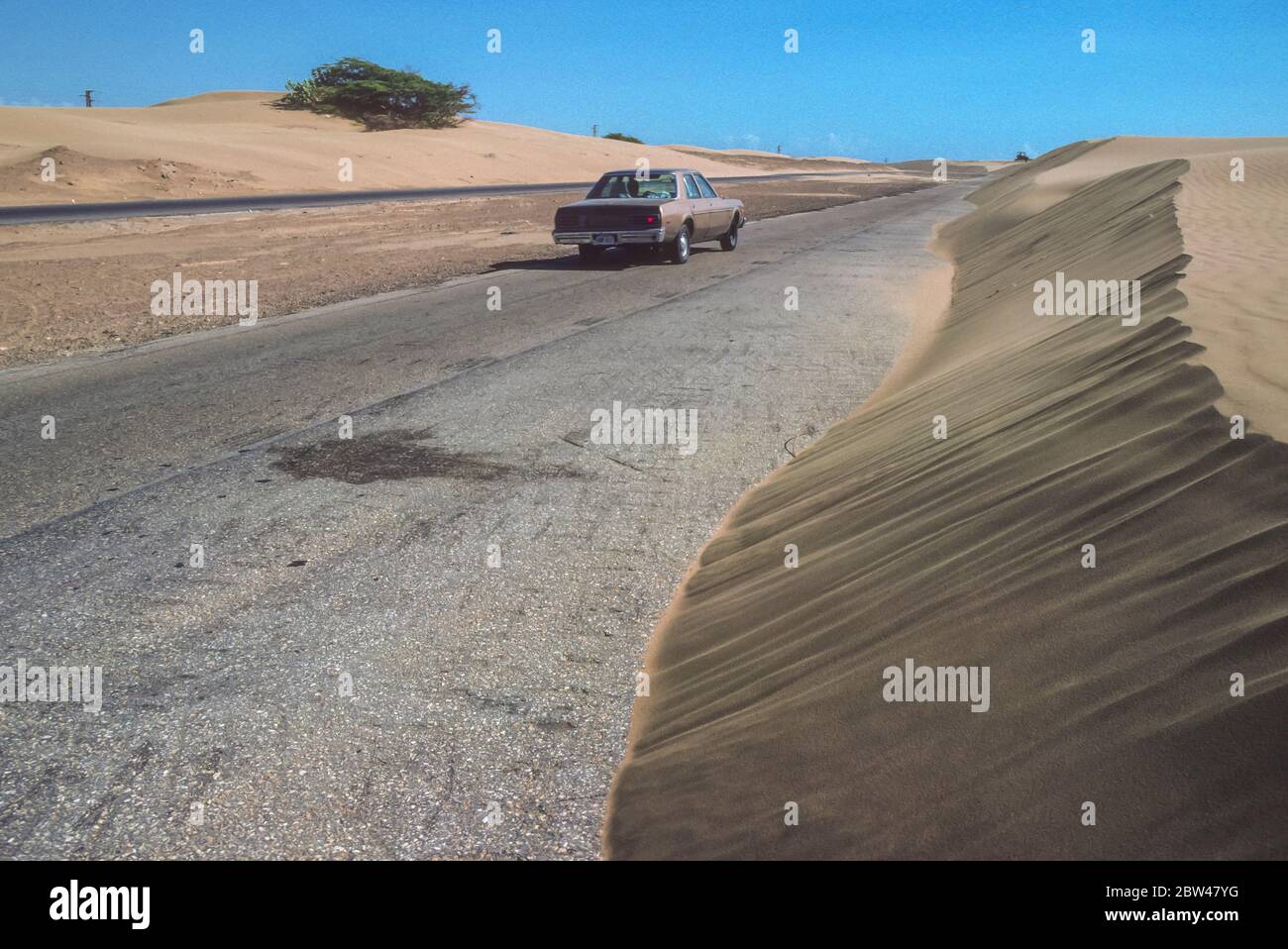 FALCON STATE, VENEZUELA - Car on road with drifting sand covering highway, Paraguana Peninsula. Stock Photo