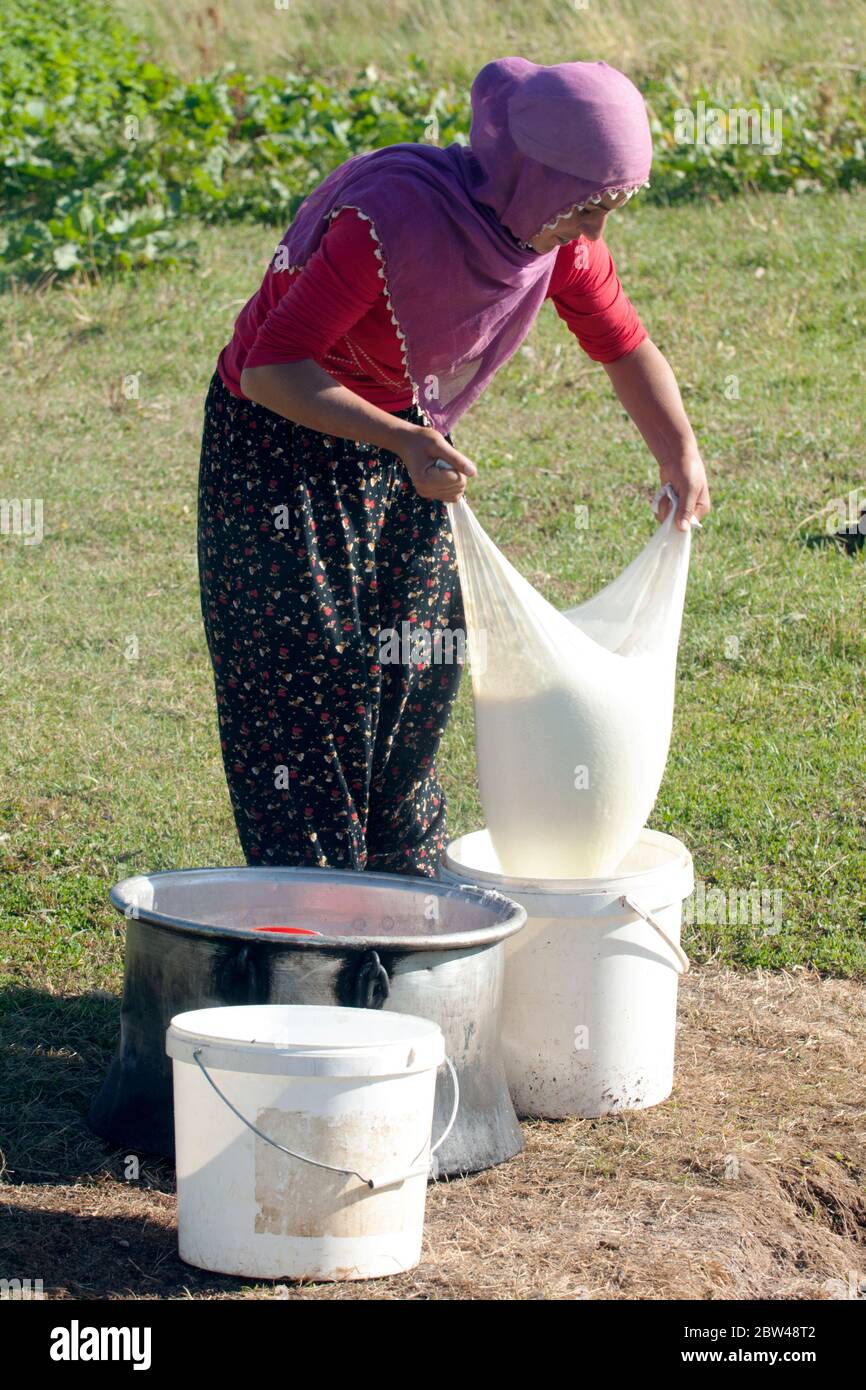Asien, Türkei, Provinz Bingöl, Frau vom Stamm der Beritan-Nomaden bei der Herstellung von 'Tulum peyniri' (einer Art von Schafskäse) auf einer Hochwei Stock Photo