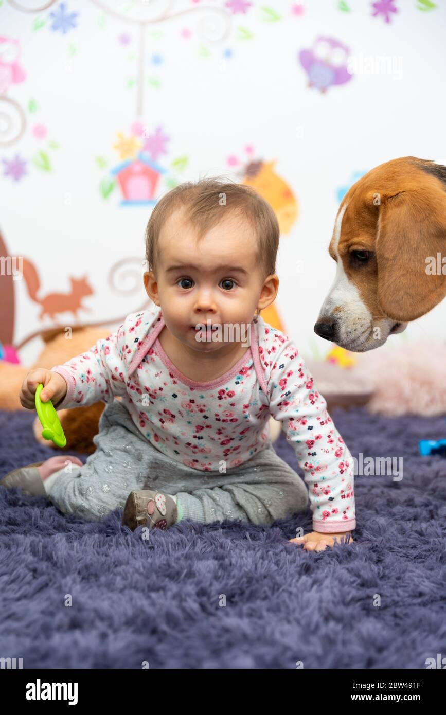 toy dog for 1 year old