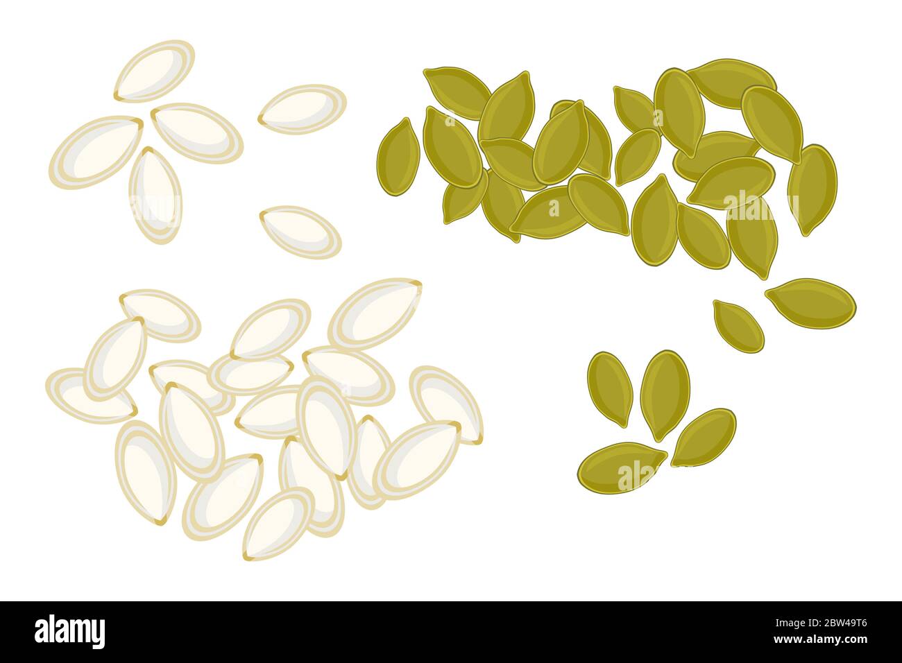 Pumpkin seeds isolated on white background. Whole and peeled pumpkin seeds. Roasted pumpkin seeds in cartoon style, top view.Stock vector illustration Stock Vector